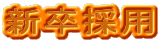 V̗p